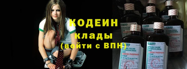 хмурый Алзамай