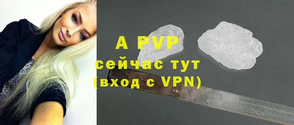 сатива Новозыбков
