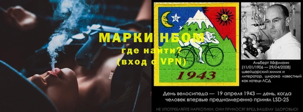 шишки Алексин