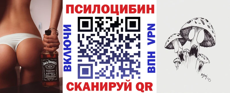 Галлюциногенные грибы Psilocybe  закладка  Сертолово 